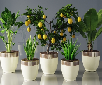 Modern Potted Green Plant-ID:436275017