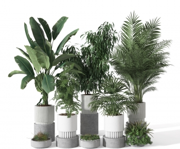 Modern Potted Green Plant-ID:758898973