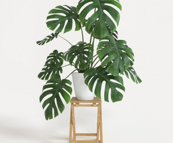 Modern Potted Green Plant-ID:453172925