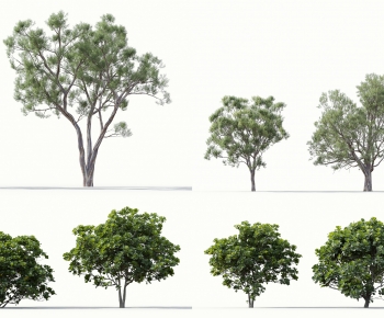 Modern Tree-ID:435090195