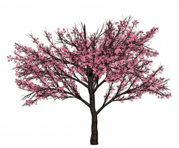 Modern Tree-ID:373058089