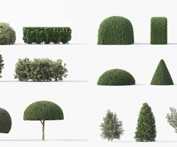 Modern Shrubbery-ID:692307955