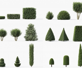 Modern Shrubbery-ID:932717085