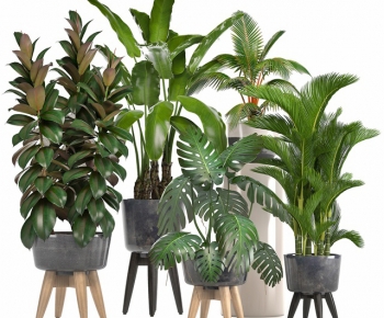 Modern Potted Green Plant-ID:511158944