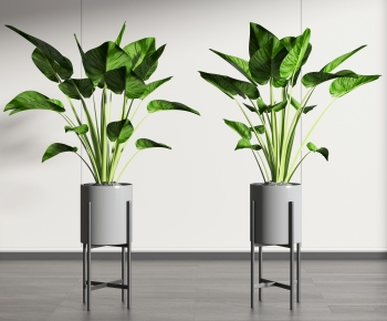 Modern Potted Green Plant-ID:310005908