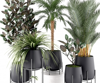 Modern Potted Green Plant-ID:574865109