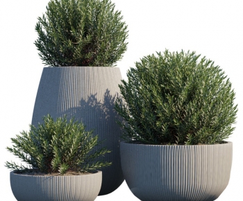 Modern Potted Green Plant-ID:474292048