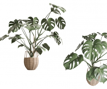 Modern Potted Green Plant-ID:418540009