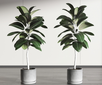 Modern Potted Green Plant-ID:229279993