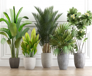 Modern Potted Green Plant-ID:450265888