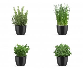 Modern Potted Green Plant-ID:843388086