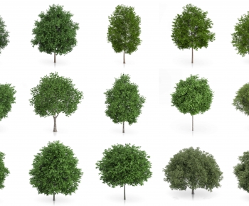 Modern Tree-ID:989251136