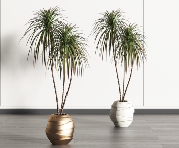 Modern Potted Green Plant-ID:586415051