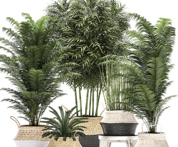 Modern Potted Green Plant-ID:982511034