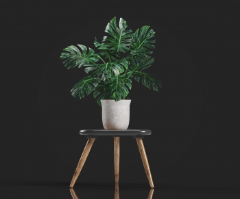 Modern Potted Green Plant-ID:507965094