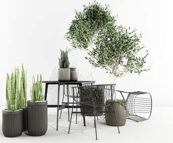 Modern Potted Green Plant-ID:842623008