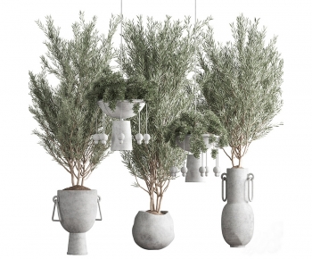 Wabi-sabi Style Potted Green Plant-ID:469988119