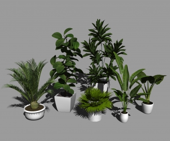 Modern Potted Green Plant-ID:383847009