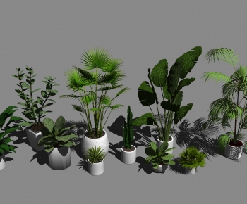 Modern Potted Green Plant-ID:461332085