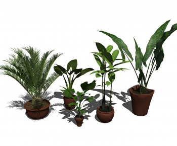 Modern Potted Green Plant-ID:635715962