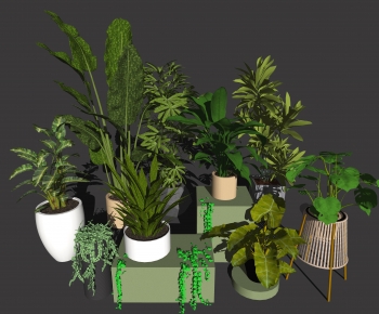 Modern Potted Green Plant-ID:895519974