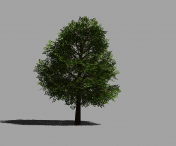 Modern Tree-ID:456846959