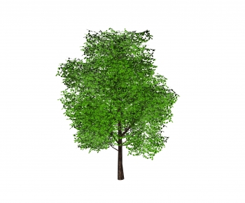 Modern Tree-ID:367870096