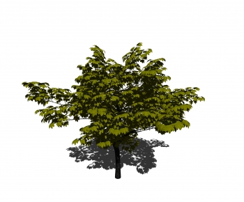 Modern Tree-ID:814066894