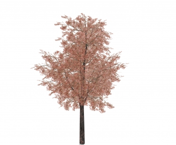 Modern Tree-ID:315263995