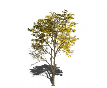 Modern Tree-ID:813168053