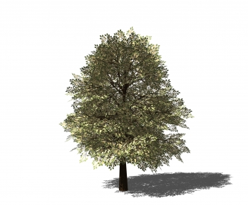 Modern Tree-ID:925240043
