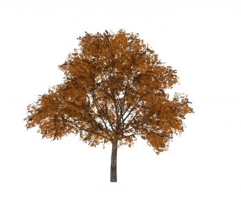 Modern Tree-ID:688009349