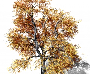 Modern Tree-ID:189224961