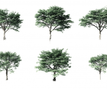 Modern Tree-ID:118081094