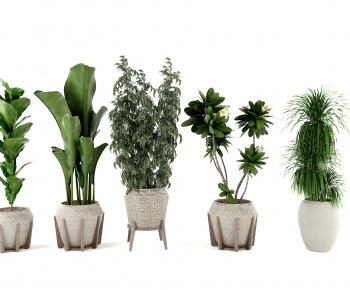 Modern Potted Green Plant-ID:585320952