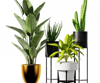 Modern Potted Green Plant-ID:586587911