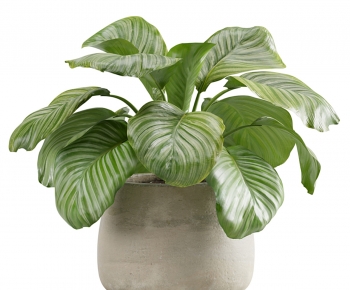 Modern Potted Green Plant-ID:445617913