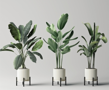 Modern Potted Green Plant-ID:423264032