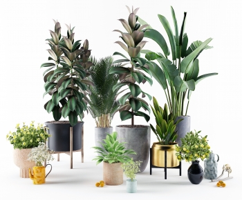 Modern Potted Green Plant-ID:494904992