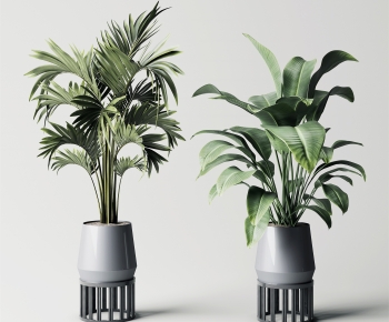 Modern Potted Green Plant-ID:759782086