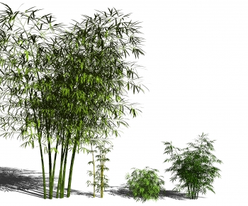 Modern Bamboo-ID:733638055