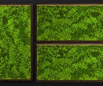 Modern Plant Wall-ID:221892124