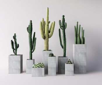 Modern Potted Green Plant-ID:779032959