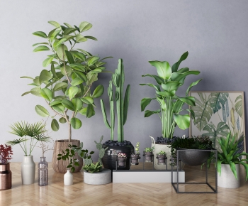 Modern Potted Green Plant-ID:992889454