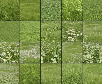 Modern The Grass-ID:741480117