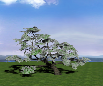 Modern Tree-ID:220212946