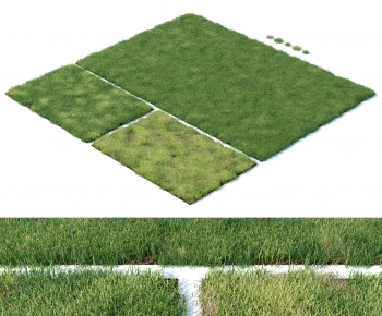 Modern The Grass-ID:197396044