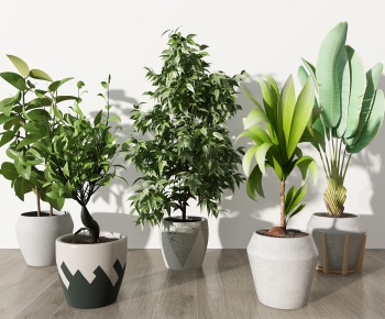 Modern Potted Green Plant-ID:308412084