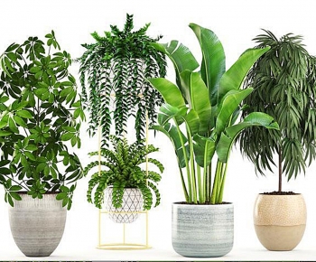 Modern Potted Green Plant-ID:216028934