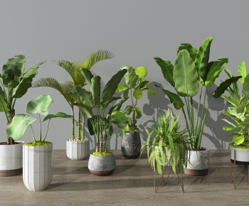 Modern Potted Green Plant-ID:568344123